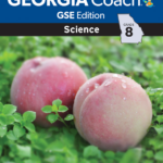 Student Edition Coach Practice Assessments GA Milestones Ed Combo