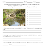 The Nature Of Science Worksheet Educational Worksheet