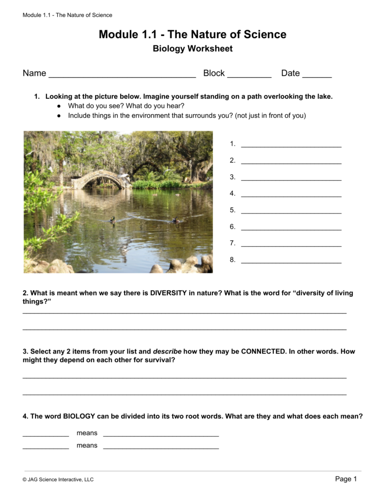 The Nature Of Science Worksheet Educational Worksheet