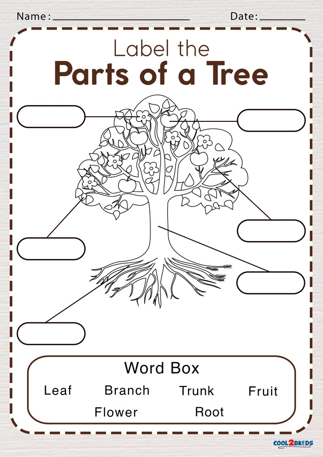 The Parts Of A Tree Worksheets 99Worksheets