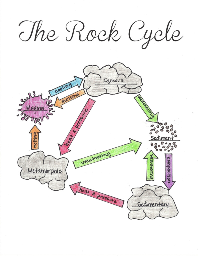 The Three Types Of Rocks Our Activities And A Free Worksheet Packet 