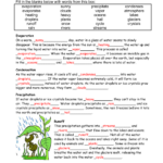 The Water Cycle Worksheet Answers Worksheets For Home Learning