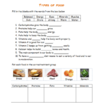 Third Grade A B C D WEEK 9 SCIENCE FOOD ACTIVITIES