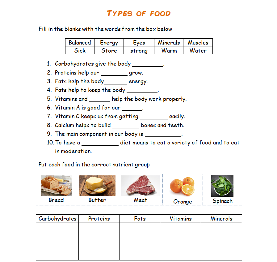 Third Grade A B C D WEEK 9 SCIENCE FOOD ACTIVITIES