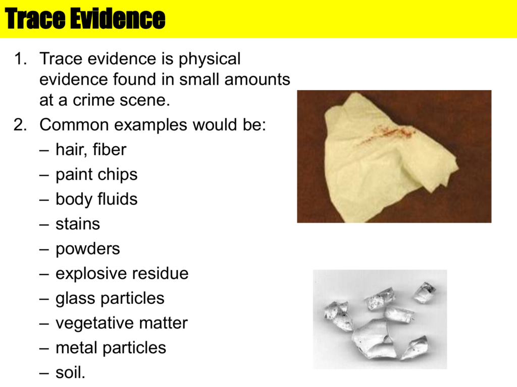 Trace Evidence