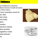 Trace Evidence