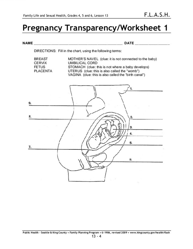 Transparency Worksheet Answers