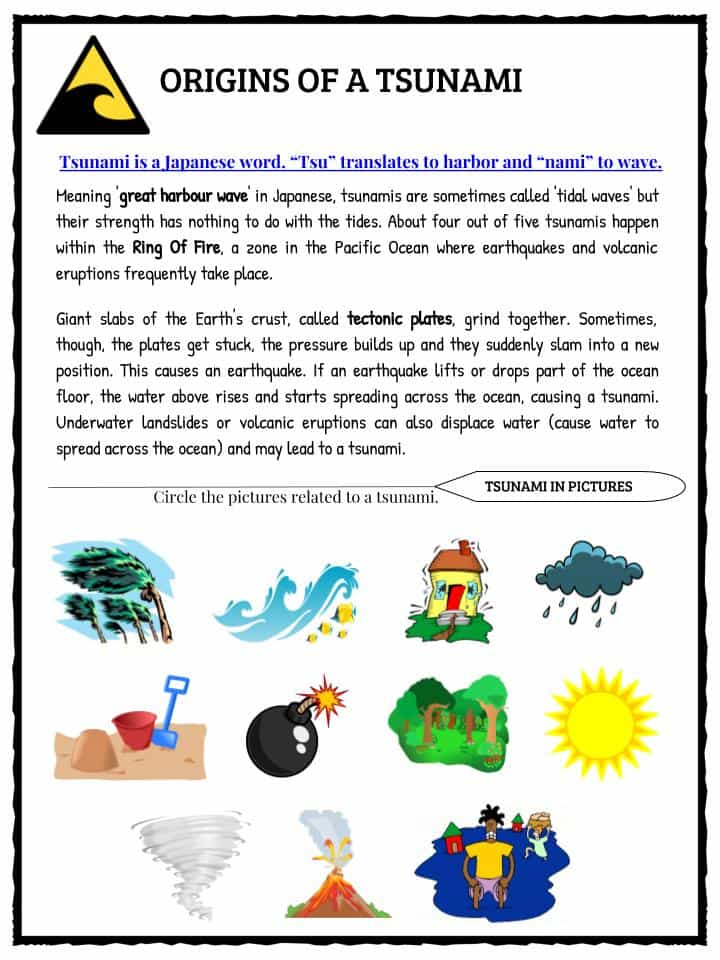 Tsunami Facts Worksheets Historical Information For Kids