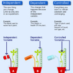 Variable Science Worksheet