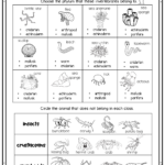 Vertebrates Invertebrates Worksheet