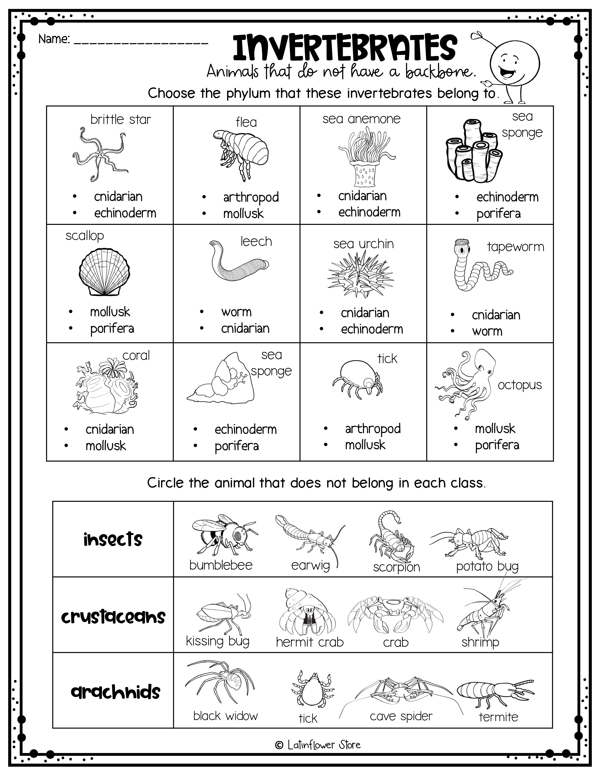 Vertebrates Invertebrates Worksheet