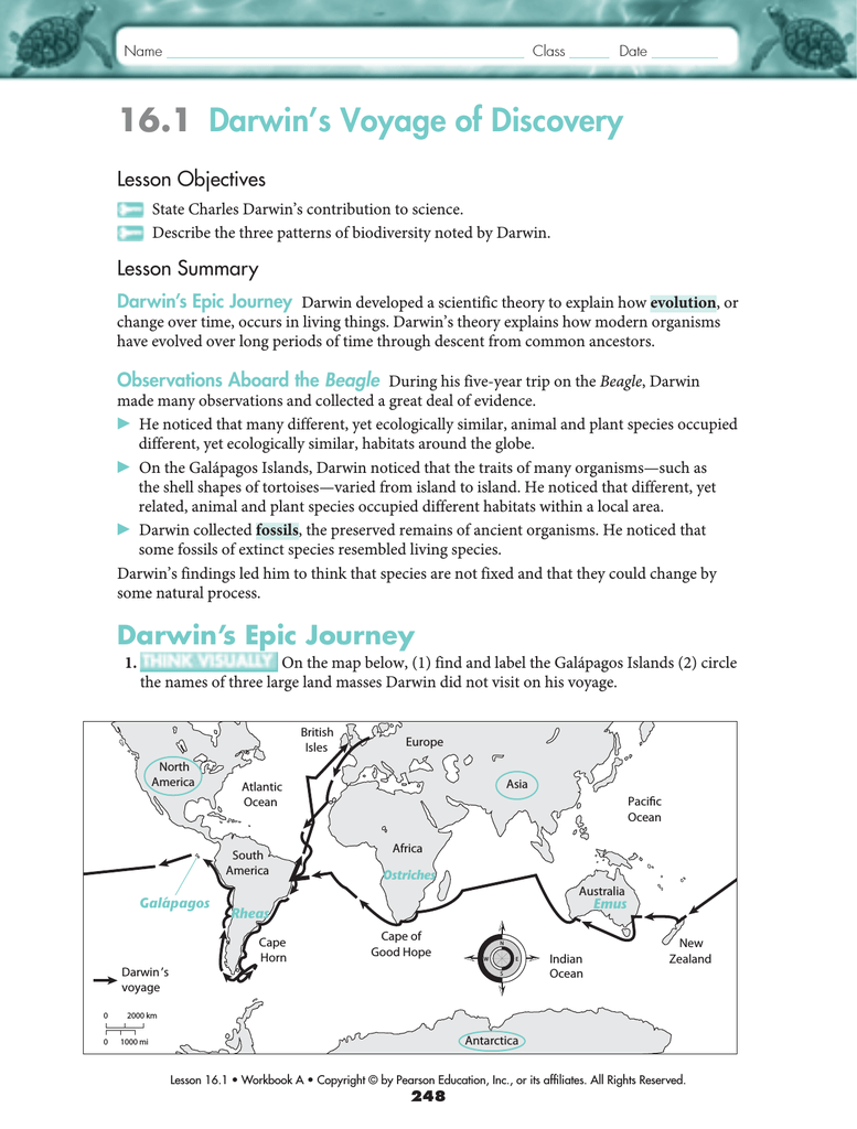 Voyage To The Galapagos Worksheet Answers Ivuyteq