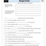 Worksheet For Bill Nye Respiration Video Differentiated Worksheet