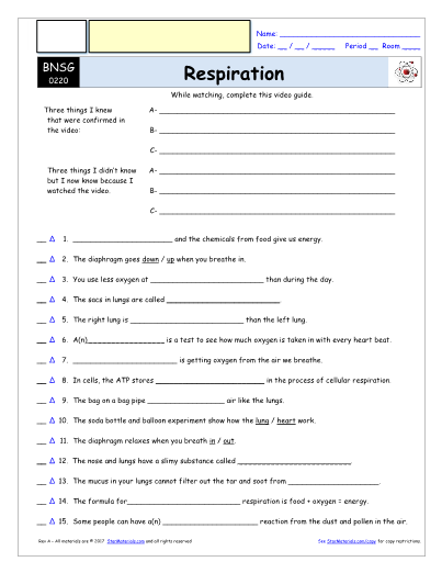 Worksheet For Bill Nye Respiration Video Differentiated Worksheet