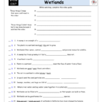 Worksheet For Bill Nye Wetlands Video Differentiated Worksheet