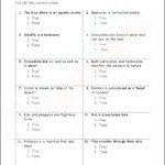 Worksheet For Class 2 Pdf Newspaper