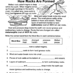 Worksheet For Grade 4 Science