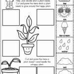 Worksheet For Kindergarten Science