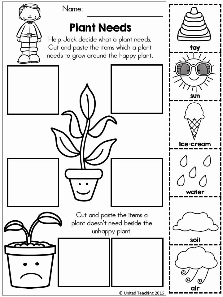 Worksheet For Kindergarten Science