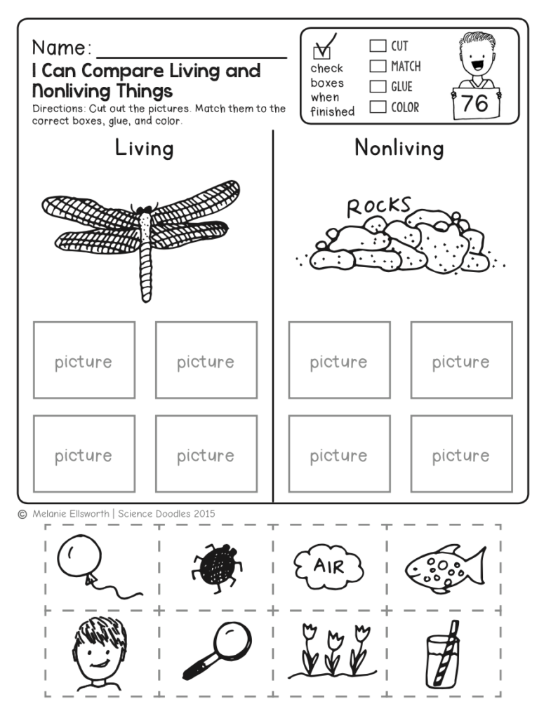 Worksheet In Science For Kindergarten