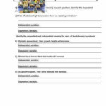 Writing A Hypothesis Worksheet