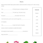 Year 1 Science Printable Resources Free Worksheets For Kids