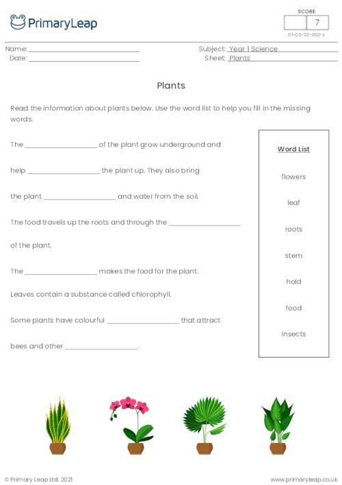 Year 1 Science Printable Resources Free Worksheets For Kids