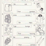 Year 2 Science Worksheets Malaysia Thekidsworksheet