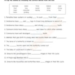 10 Science Worksheets For Grade 4