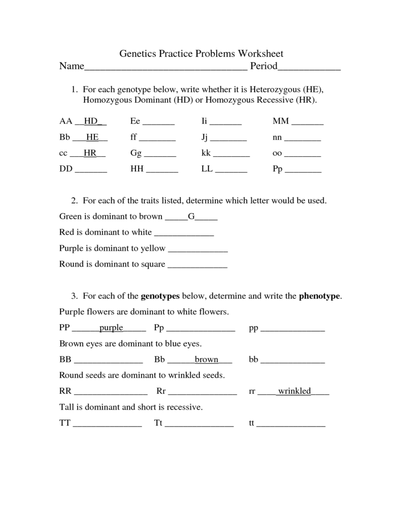 15 Genetics Problems Worksheet With Answer Keys Worksheeto