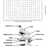 36 Parts Of A Microscope Worksheet Answers Support Worksheet