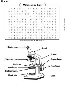 36 Parts Of A Microscope Worksheet Answers Support Worksheet