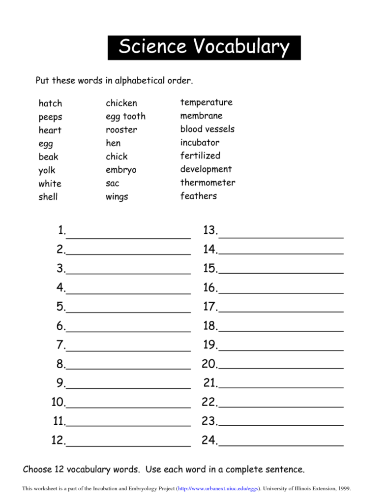 7th Grade Science Worksheets With Answer Key Pdf Kidsworksheetfun