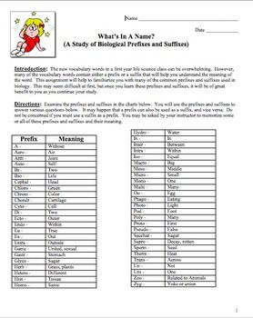 A Study Of Biological Prefixes And Suffixes Answers Study Poster