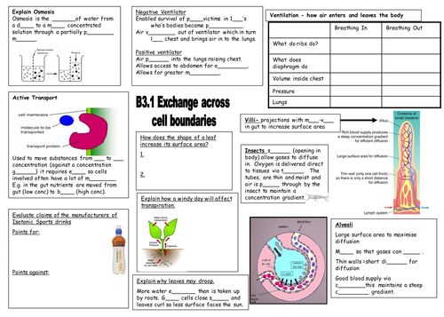 Aqa B3 Revision Sheets Teaching Resources Science Notes Aqa