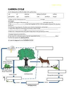 Biogeochemical Cycles Foldable By Science Safari TpT