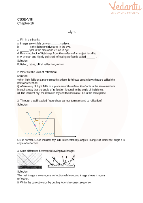 CBSE Class 8 Science Light Worksheets With Answers Chapter 16