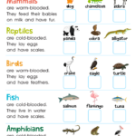Classifying Animals Worksheet Free Printable PDF For Kids