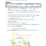 Cycles Worksheet Integrated Science Answers