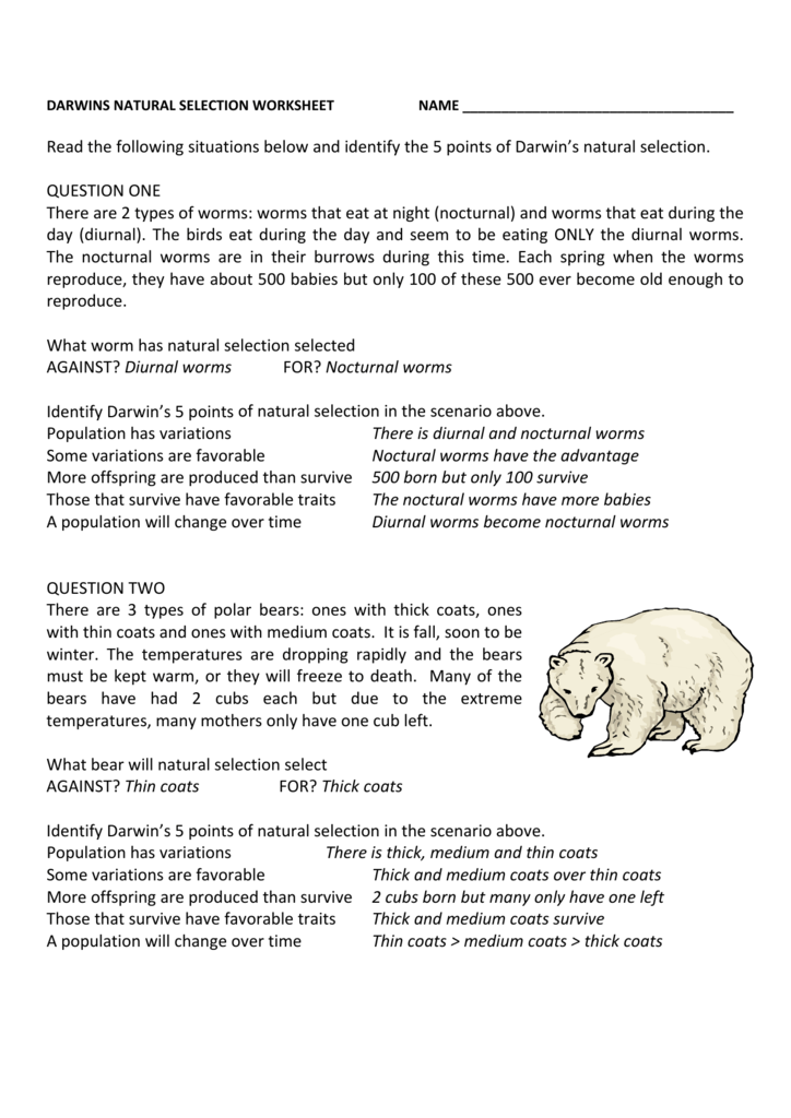 Darwin 39 s Natural Selection Worksheet Answers