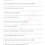 Download Grade 4 Science Worksheet Of Olympiadtester On The Chapter