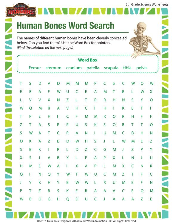 Free Printable 6th Grade Science Worksheets Kidsworksheetfun