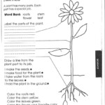 Free Printable Fifth Grade Science Worksheets Lexia 39 s Blog