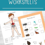 Free Science Worksheets Science Experiment Worksheets Worksheet Ideas