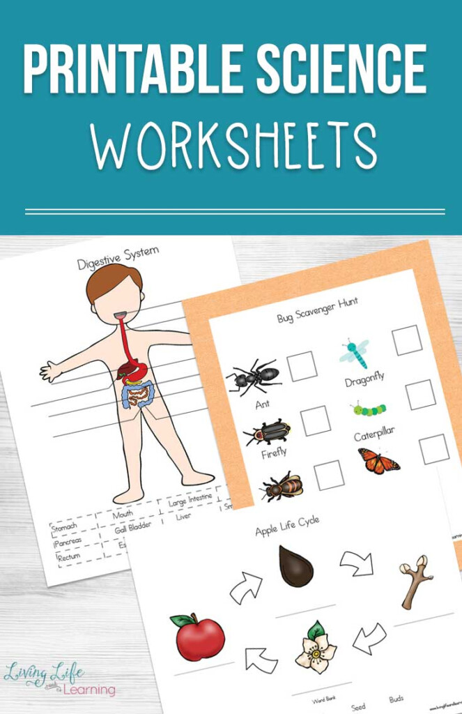 Free Science Worksheets Science Experiment Worksheets Worksheet Ideas