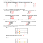 Genetics Worksheet Answers Key