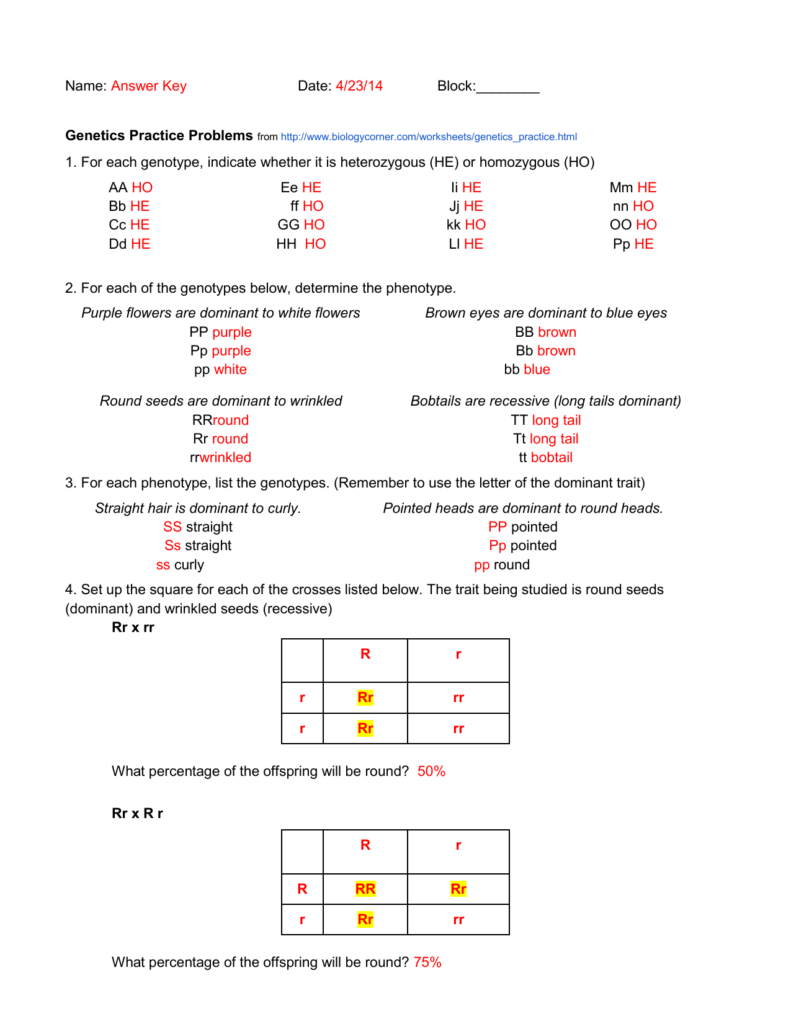 Genetics Worksheet Answers Key