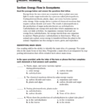 Holt Environmental Science Skills Worksheet Active Reading Answer Key