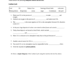 Integrated Science Cycles Worksheet Doc Template PdfFiller