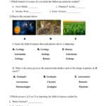 Integrated Science Process Skills Worksheets SkillsWorksheets